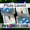 Lavest Pill viagra5